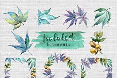 Watercolor cannabis PNG leaves set Product Image 8