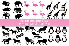 Animals SVG Bundle, Animals Monogram SVG, Animals SVG, Animals Bundle.  Product Image 6
