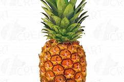 Watercolor Pineapple clip art pack, watercolor ananas clip art exotic fruit, Printable png, pdf, jpg, svg, eps and vector files included. Product Image 6