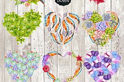 Succulents &amp; Cactuses Product Image 6