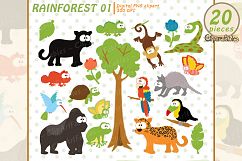 RAINFOREST clipart, Cute wild animals clip art, Jungle art Product Image 1