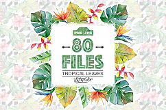 Tropical leaves PNG watercolor set Product Image 1