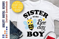 Birthday Boy svg Sister of the BEE day Boy SVG files decor Product Image 1