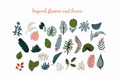 Exotic and Tropical leaves Product Image 2
