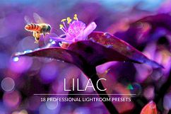 Lilac Lr Presets Product Image 1