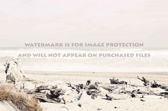 9 Dreamy Pink Beach Photos Product Image 3