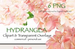 Watercolor Hydrangeas Product Image 1