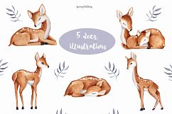 Cute baby Deer Watercolor clipart Baby animals Product Image 4