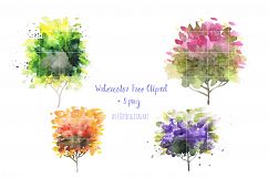 Watercolor Tree Clipart Wood Forest Spring Autumn Wedding Product Image 4