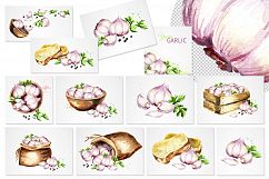 Garlic. Watercolor collection Product Image 4