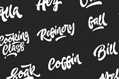 Adleit Script Product Image 2