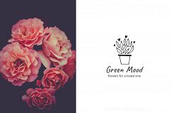Logo Pack Vol.2. Romantic &amp; Wedding Product Image 15