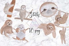 Hand Drawn Watercolor Sloth Clipart Product Image 1