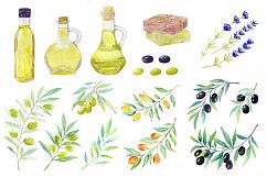 Olive set. Watercolor collection. Product Image 4