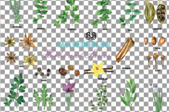 Herbs and Spices clip art pack, Watercolor herbs and spices chart, kitchen herbs, food print. PNG, jpg, svg, vector illustrator &amp;corel files Product Image 19
