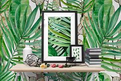 Tropical set Product Image 4