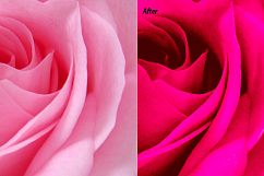Mixed Bundle - 2018 Lightroom Presets Product Image 12