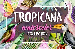 Tropicana Product Image 1