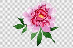 Tender pink peony PNG watercolor set Product Image 3