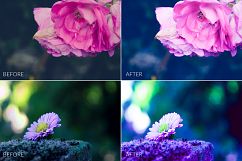 Dreamy Colors Lr Presets Product Image 6