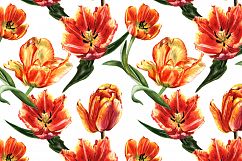 Tulip PNG watercolor flower set Product Image 5