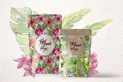 Tropical leaves collection PNG watercolor set Product Image 6