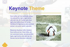 Soccer Keynote Template Product Image 28