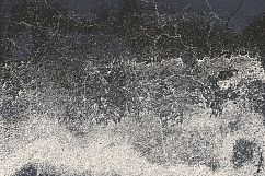 Abstract Old Wall Paint Product Image 5