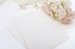 Styled photos bundle Product Image 11
