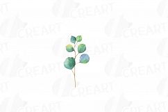 Eucalyptus leaves and branches watercolor clip art pack, Eucalyptus design elements. PNG, jpg, svg, vector illustrator &amp; corel files included Product Image 14