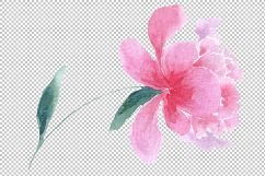Delicate colorful peony PNG watercolor set Product Image 14