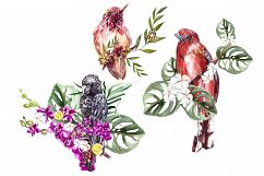 Hand Drawn Watercolor Tropic 3 Product Image 7
