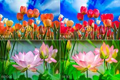 Spring Lr Presets Product Image 8