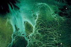 400 Abstract Backgrounds Product Image 4