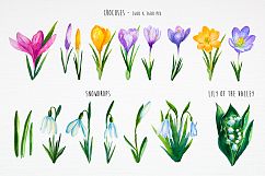 Spring flowers. Watercolor. Product Image 2