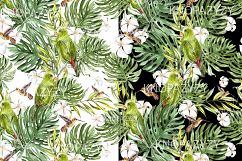 Hand Drawn Watercolor 14 PATTERNS Product Image 6