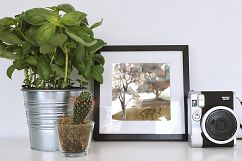 Watercolor landscape creator Product Image 12
