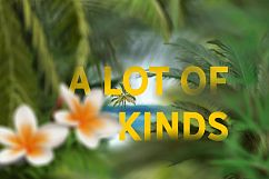 51 Tropic Tree Branch Photo overlays Product Image 2