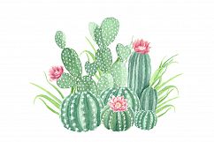 Watercolor Cactus and Succulents Collection Product Image 3