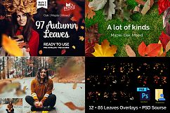 1000+ Photo Overlays Bundle+FREE UPD Product Image 16