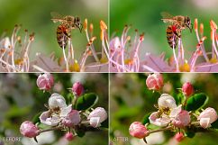 Spring Lr Presets Product Image 3