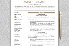 Resume Templates / CV Templates, Professional Resume Template Product Image 2