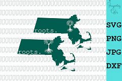 State Roots-All 50 States Product Image 6