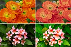 Flowers Lr Presets Product Image 5