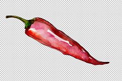 Red pepper vegetables PNG watercolor set Product Image 3