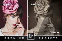 Wet Plate Effect Lightroom Presets Product Image 2