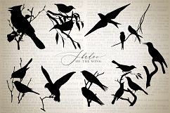 Shadow of the Wing Bird Silhouette Graphics Product Image 4