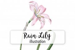 Florals - Vintage Rain Lily Product Image 1