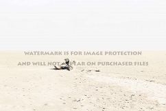 9 Dreamy Pink Beach Photos Product Image 8