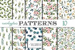 Eucalyptus Patterns Product Image 1